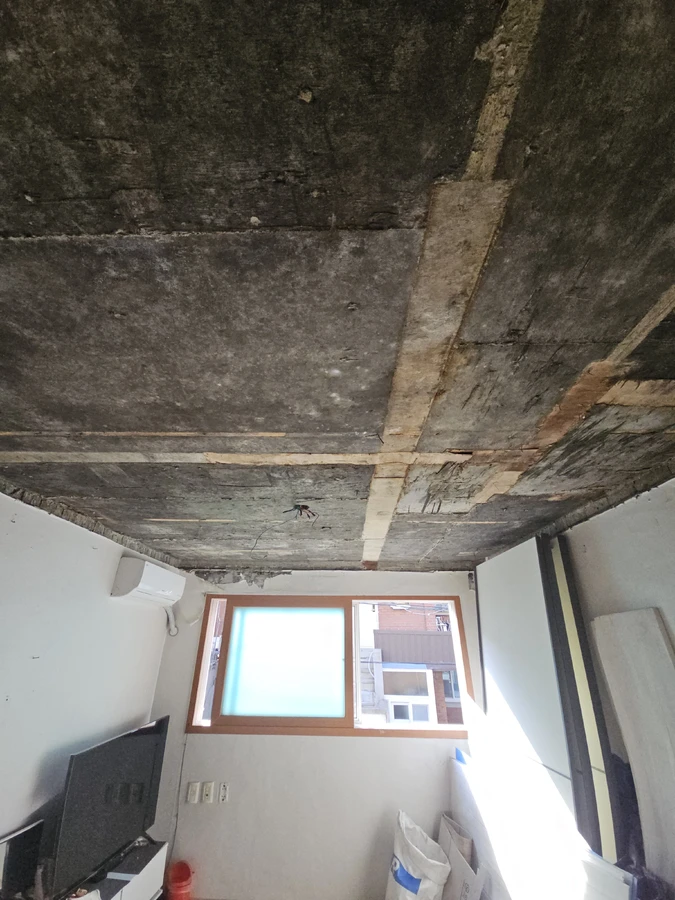 노출 콘크리트 천장 전체에 검은 곰팡이 얼룩이 넓게 퍼진 상태